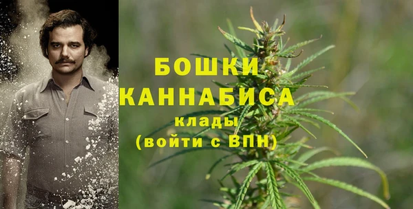 прущий лед Белокуриха